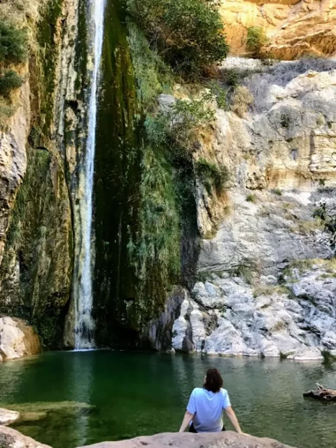 relajación y paz contemplado la caída de agua
