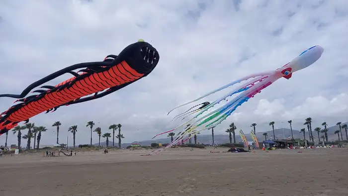 cometas de colores y formas volando