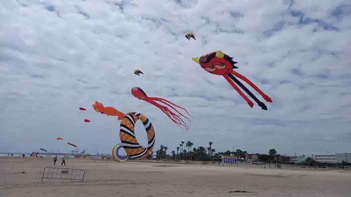 cometas con diferentes formas volando sobre la playa de Castellón